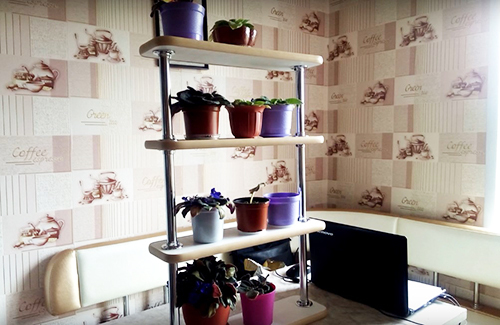Gewächshaus zu Hause: wie man Blumenständer zum Selbermachen macht