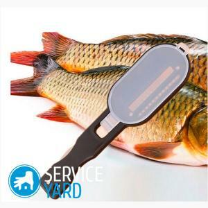 Knife for cleaning fish
