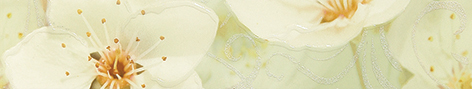 Carrelage Shakhty Sakura 01 bordure (vert), 7,5x40 cm