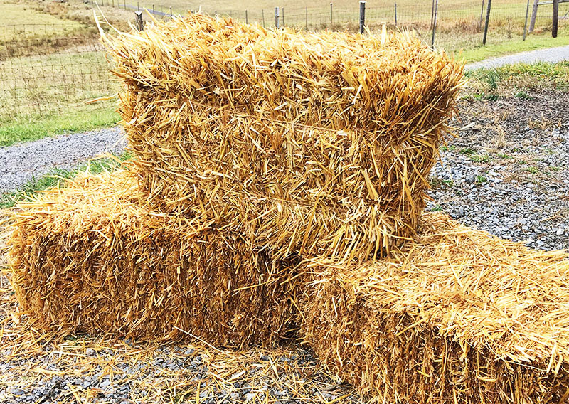 Straw tightly bound in bunches or bales resists burning well