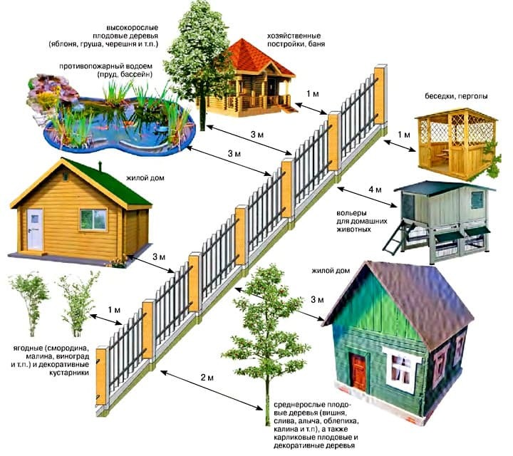 The minimum distance from the buildings to the land borders