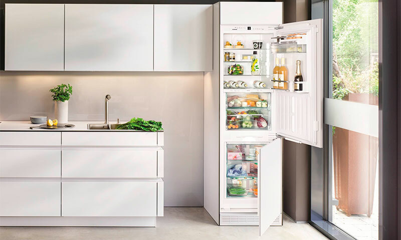 Geriausių įmontuotų šaldytuvų pagal pirkėjų atsiliepimus