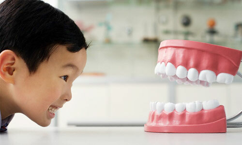 Kokios geriausios dantų protezai - privalumai ir trūkumai veislių