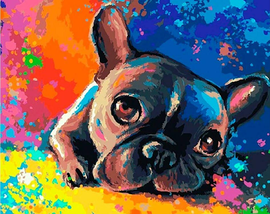 Pinte com o número " Sonhos de um Bulldog"