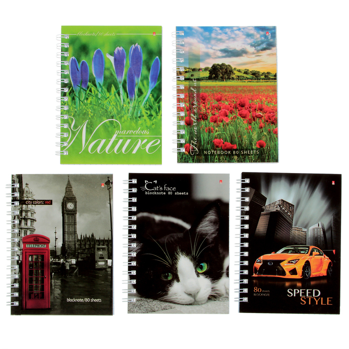 Prestige notebook: prices from 28 ₽ buy inexpensively in the online store