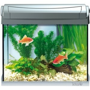 Aquarium complex Tetra AquaArt LED Discover Line Goldfish with LED lighting day / night for keeping goldfish 20L