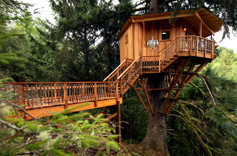 How to build a tree house with your own hands