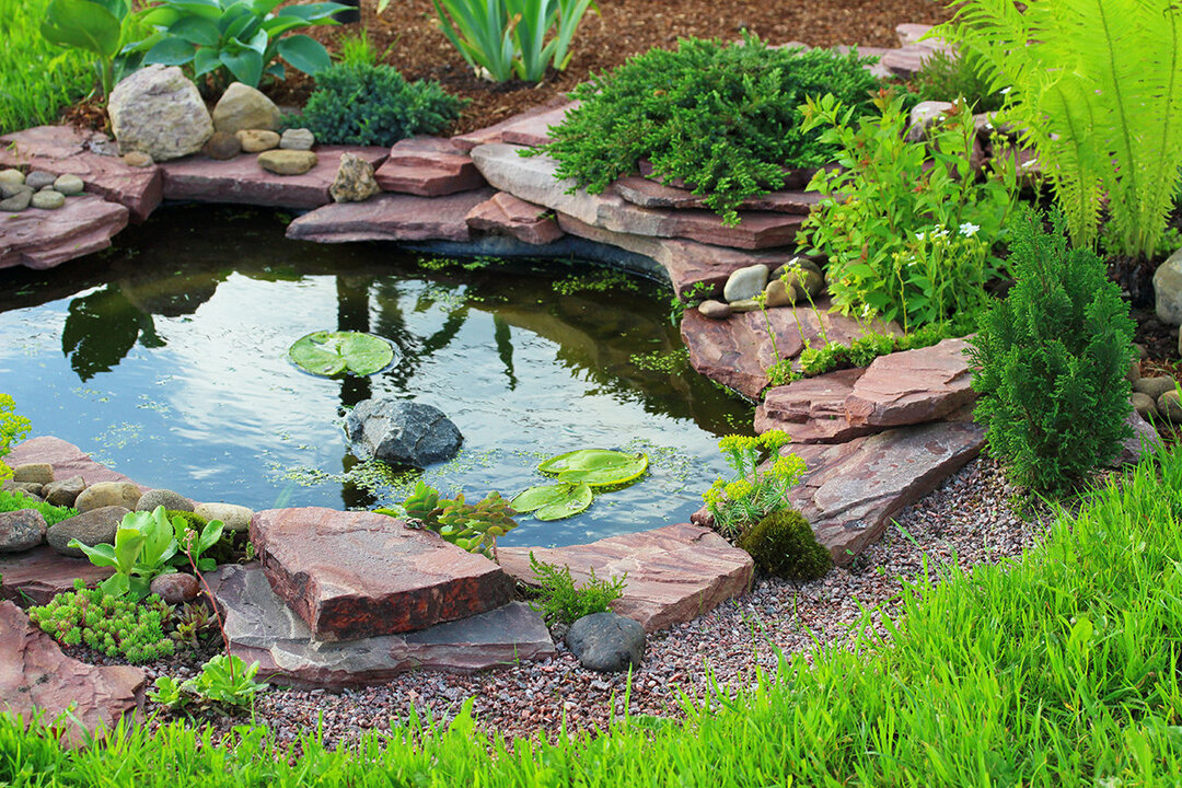 Garden by the pond: landscape design of the site with a home pond
