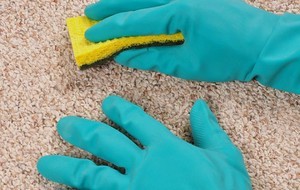 How to clean a carpet of foam