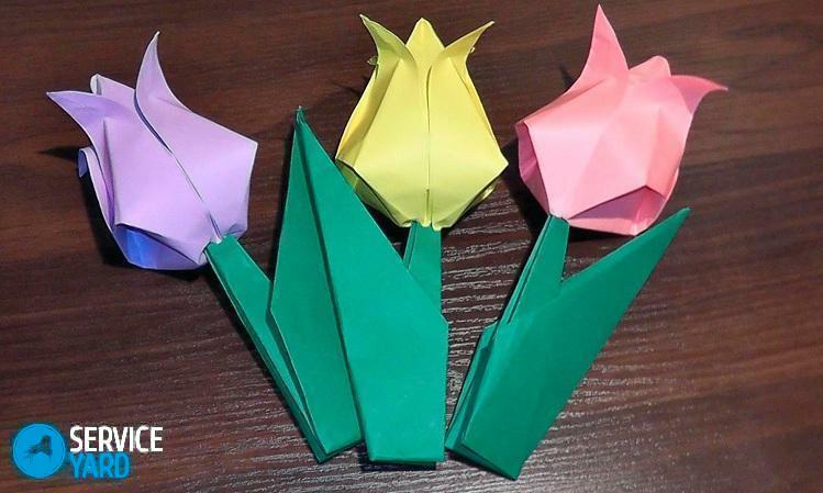 How to make a tulip from paper?