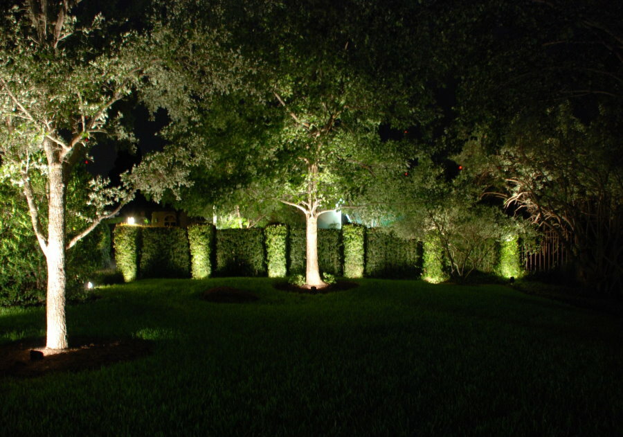 Dekoratīvs koku apgaismojums dārzā