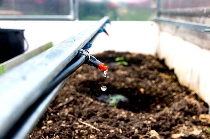 Make sure tubing and hose are not leaking. It is important that the water is dosed, as even a few extra drops applied every hour can damage the root system of some plants.