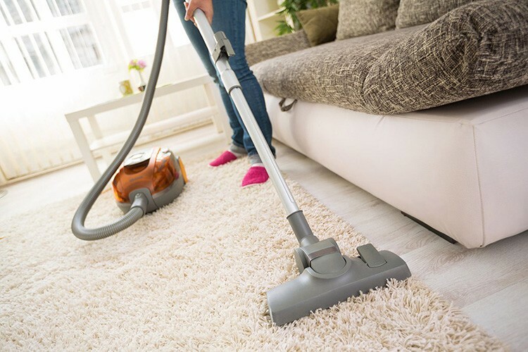 A versatilidade dos aspiradores de pó permite limpar carpetes, mesmo com pelos longos