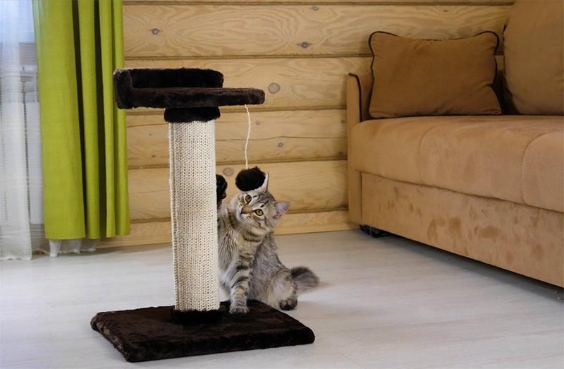 Los bucles de la alfombra se adhieren perfectamente a las garras, y es un placer rasgar un poste de rascado para un gato.