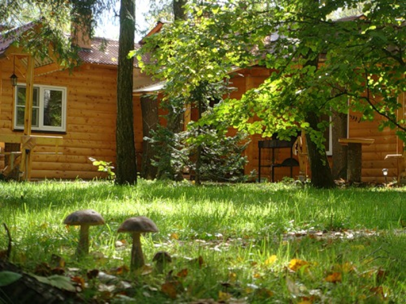 Gli agenti immobiliari hanno nominato i prezzi più bassi per i cottage estivi vicino a Mosca