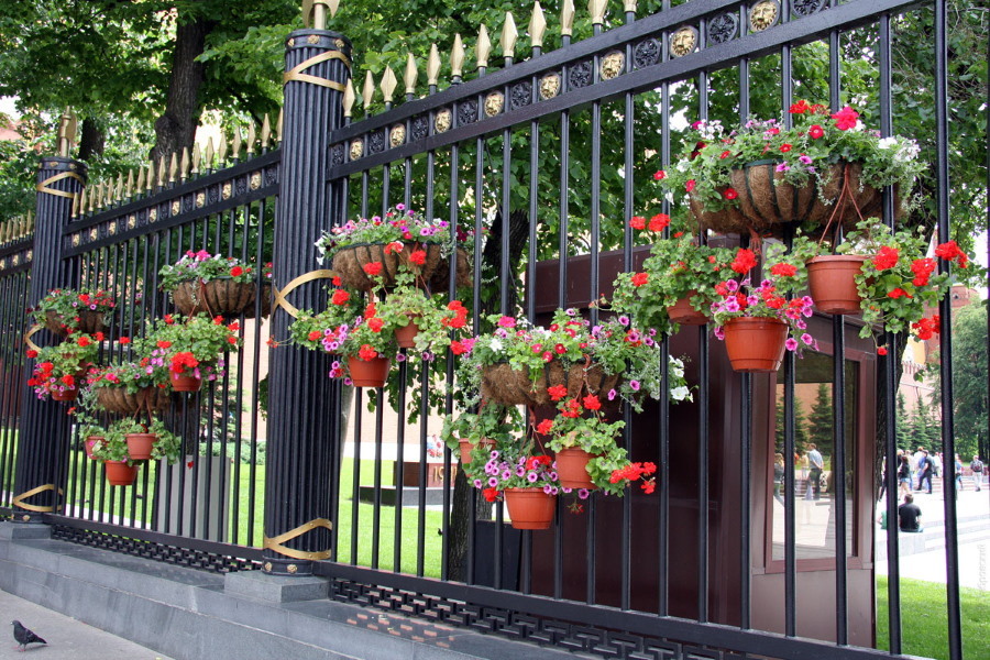 Cvetlični lonci na kovinski ograji