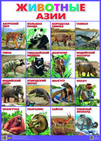 Azijos gyvūnai. plakatas