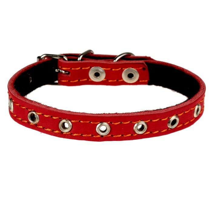 Leren halsband met vulling polyester, maatloos, 37 x 1,5 cm, rood