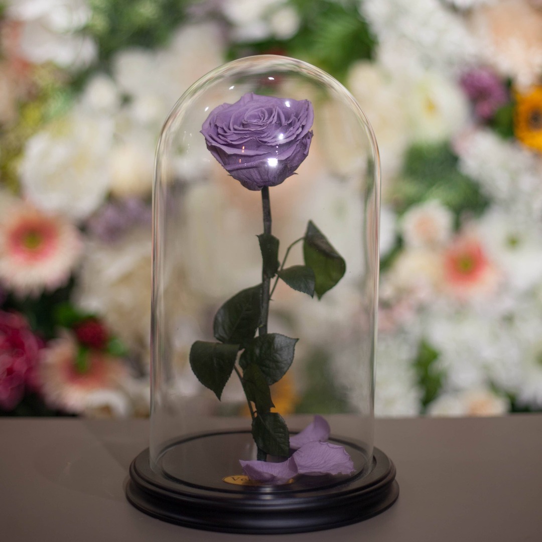 Rose in a Flask H31 * D18 Licht violet (lila)
