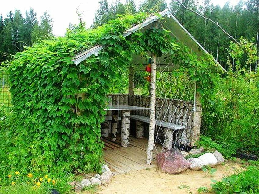 Tuinhuisje gemaakt van berkenhout bij hun zomerhuisje