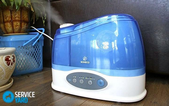 Quel humidificateur est le meilleur?