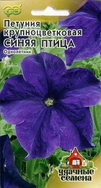 Sēklas. Petunia grandiflorum Blue putni (10 granulu gabali mēģenē)