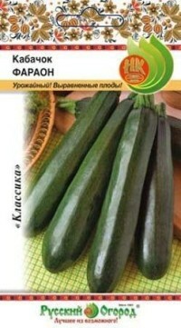 Saatgut. Zucchini-Pharao (Gewicht: 2 g)