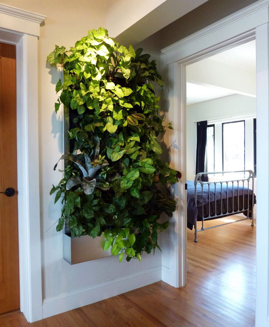 Mászó növények megvilágítása a lakás folyosóján