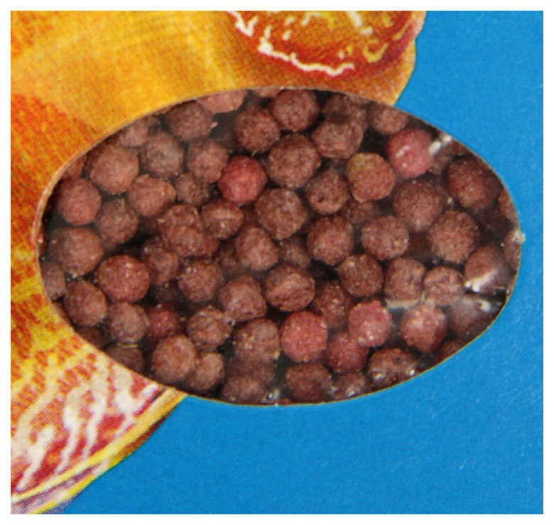 Zivju ēdiens Zoomir Discus granulas, granulas, 30 g