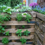 Pallets for vertical garden