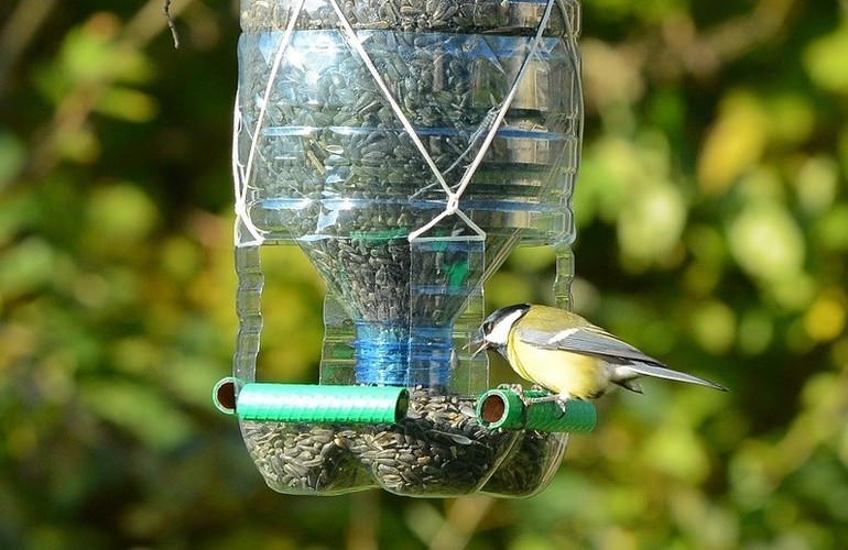 Podajniki dla ptaków z pięciu butelek dwulitrowych