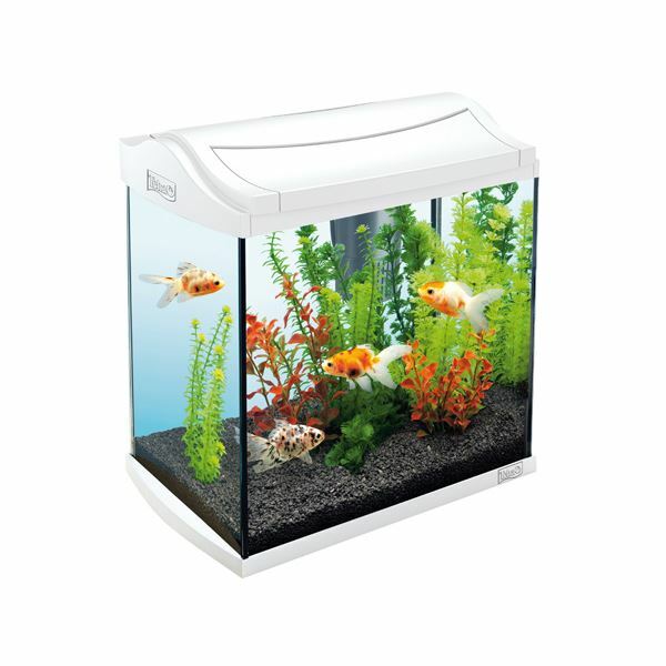 Complexe d'aquarium pour poissons, crevettes, cancer. Tetra AquaArt Crayfish Discover Line, 30L