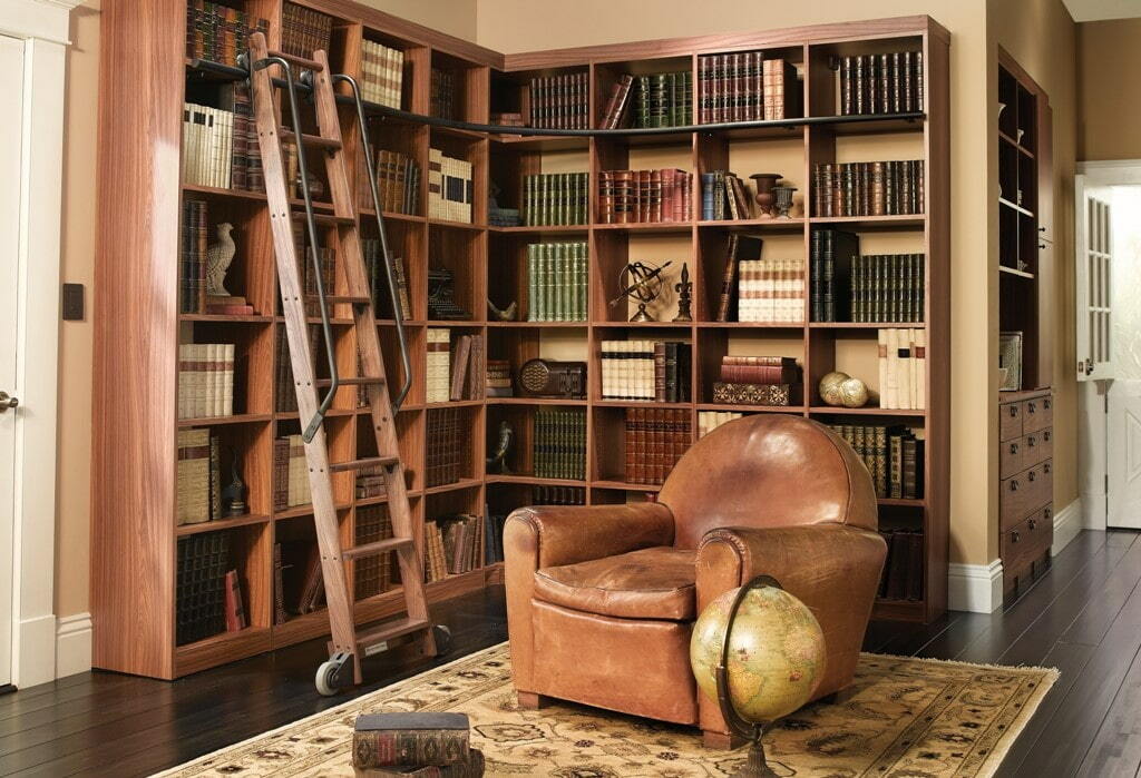 Access ladder in the living room with home library