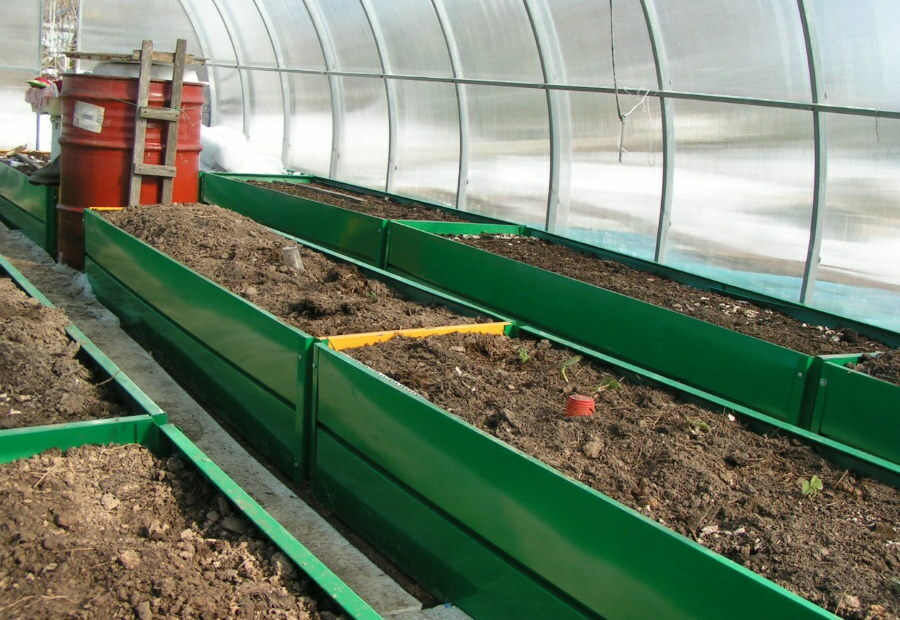 Filling a metal bed in a greenhouse with soil