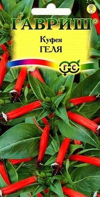 Semena Kufeya ohnivě červený gel (hmotnost: 0,02 g)