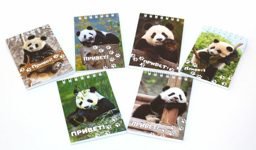 Panda piezīmju grāmatiņa: cenas no 18 ₽ pērciet lēti interneta veikalā