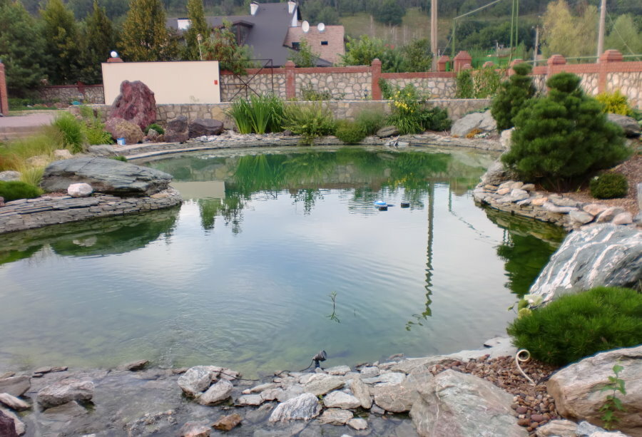 Vrtni ribnik s kamnitimi bregovi
