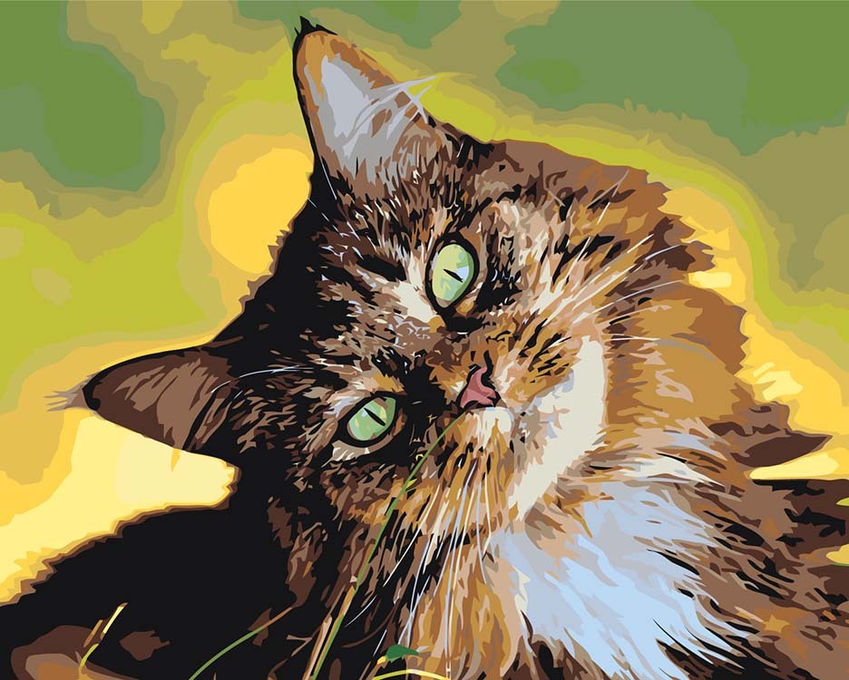 Dipingi con il numero " Curiosità del gatto"