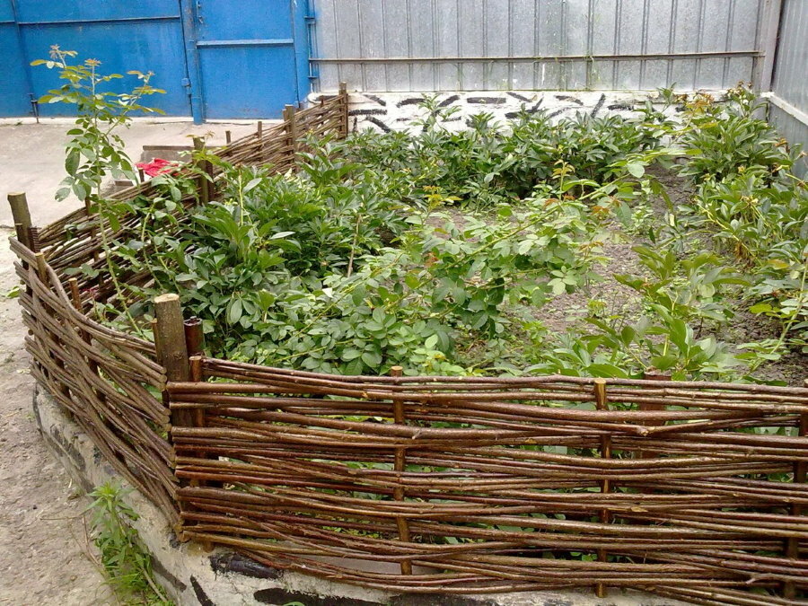 Rusztikus szőlőkert kerítés