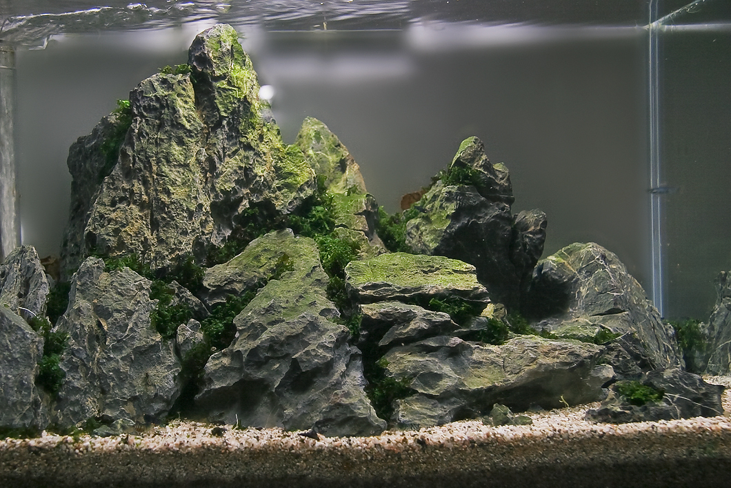 Pedras decorativas atrás do vidro de um aquário de sala