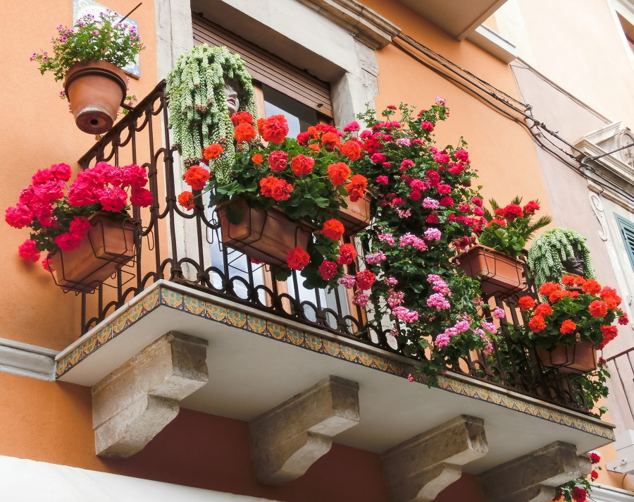 Bellissimi fiori sulla ringhiera di un balcone aperto