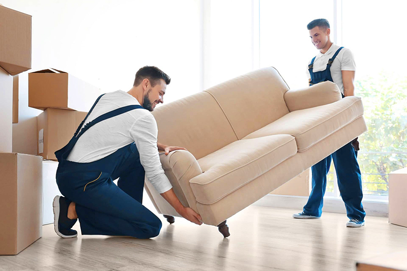 Ranking of the best sofa manufacturers in 2022