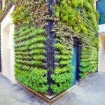 De muur groener maken