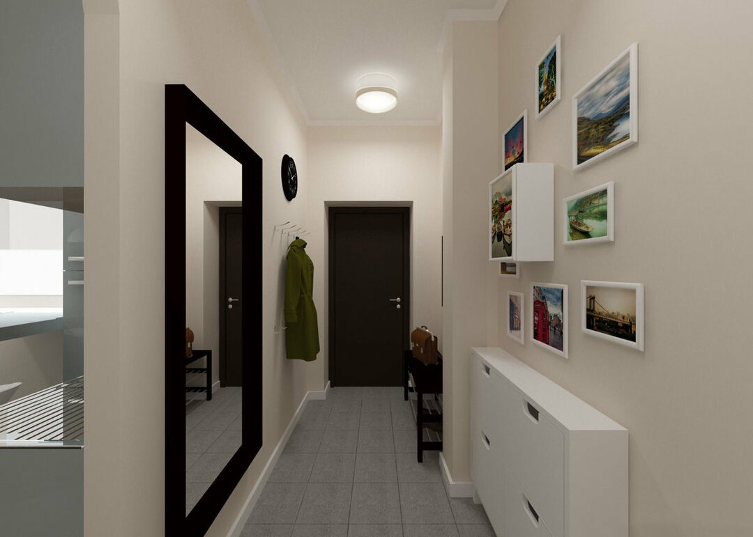 Koridoris koridoris kaasaegses stiilis: mööbli ja värvide valik, disainifoto