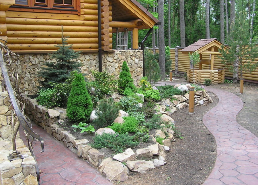 Canadian Christmas trees on rockery with stone framing