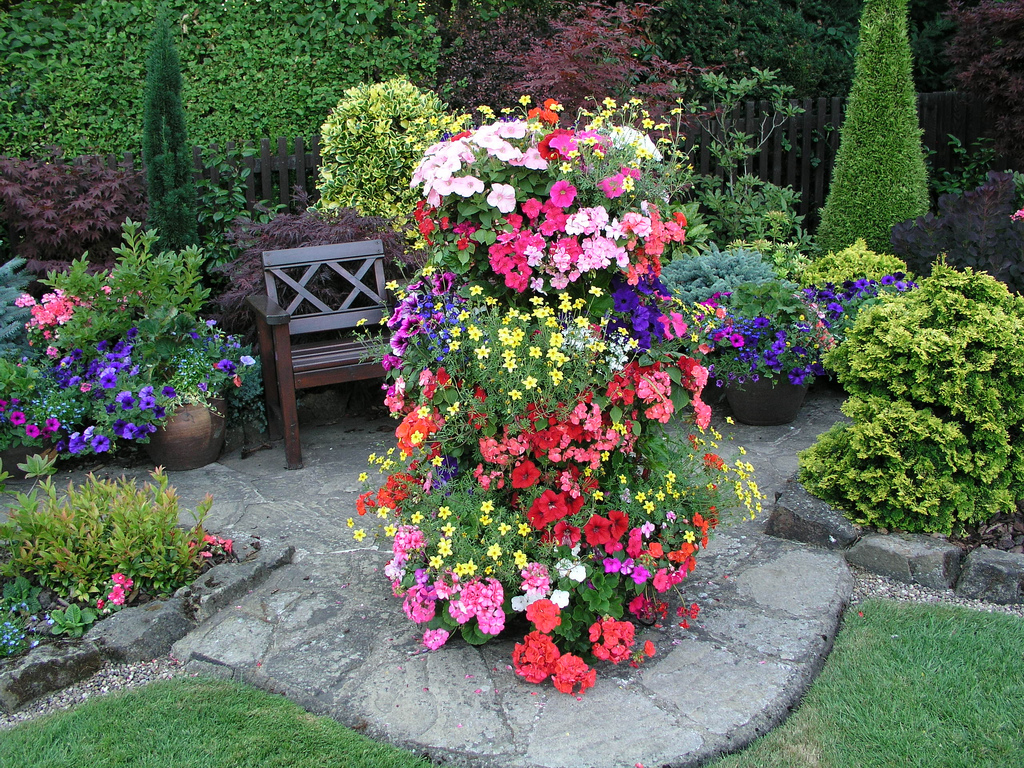 Květinová zahrada před domem: jak rozbít záhon v oblasti pod okny, správný design