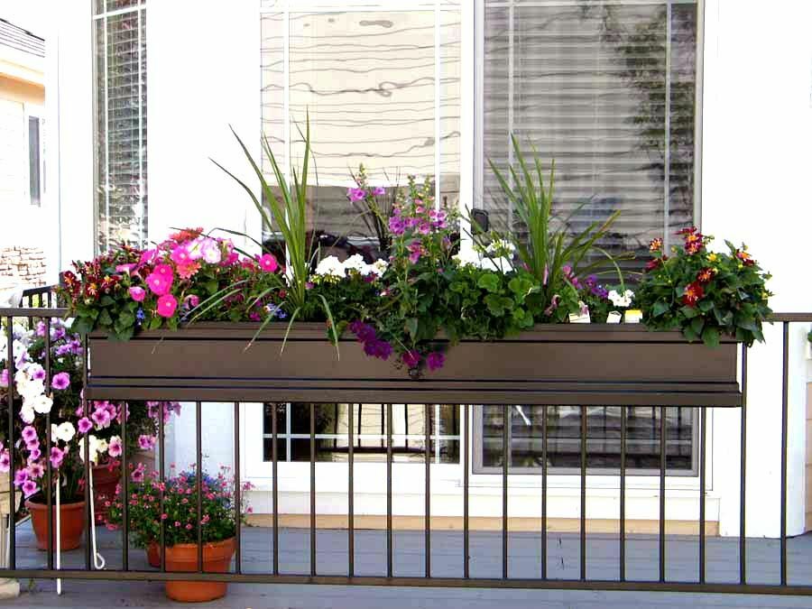Gyvi augalai gėlių krepšelyje ant balkono turėklų
