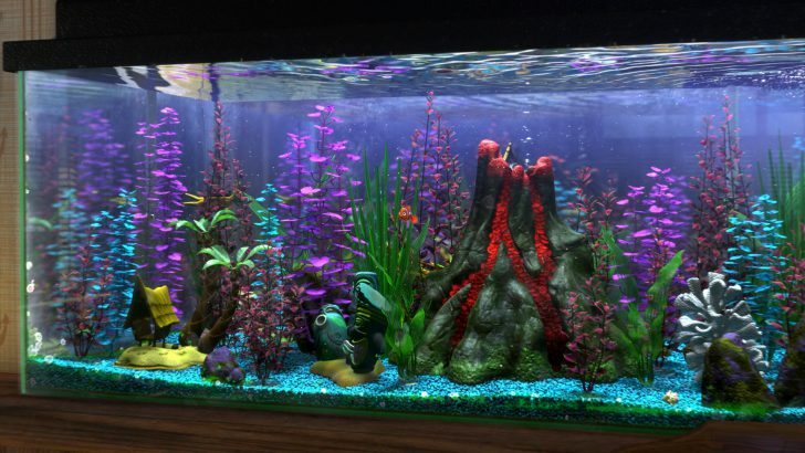 Design do aquário da Disney