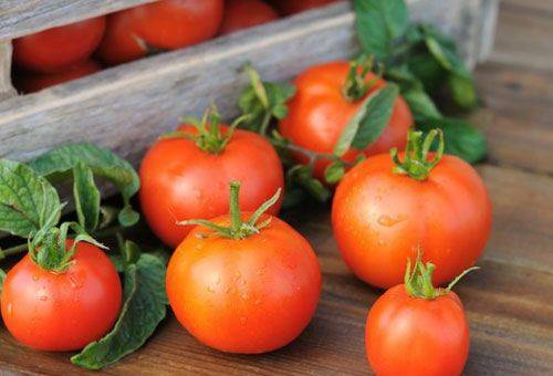 Hoe sla je tomaten thuis op?