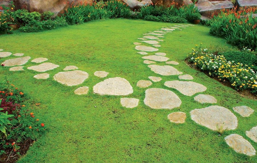 Natūralaus akmens kelias ant žalios vejos